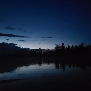 Meet your Posher, Tam